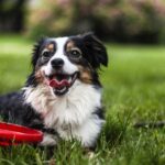 Thumbnail of new posts 145