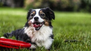 Thumbnail of post image 152